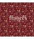 0410255 MOD F. ROJO