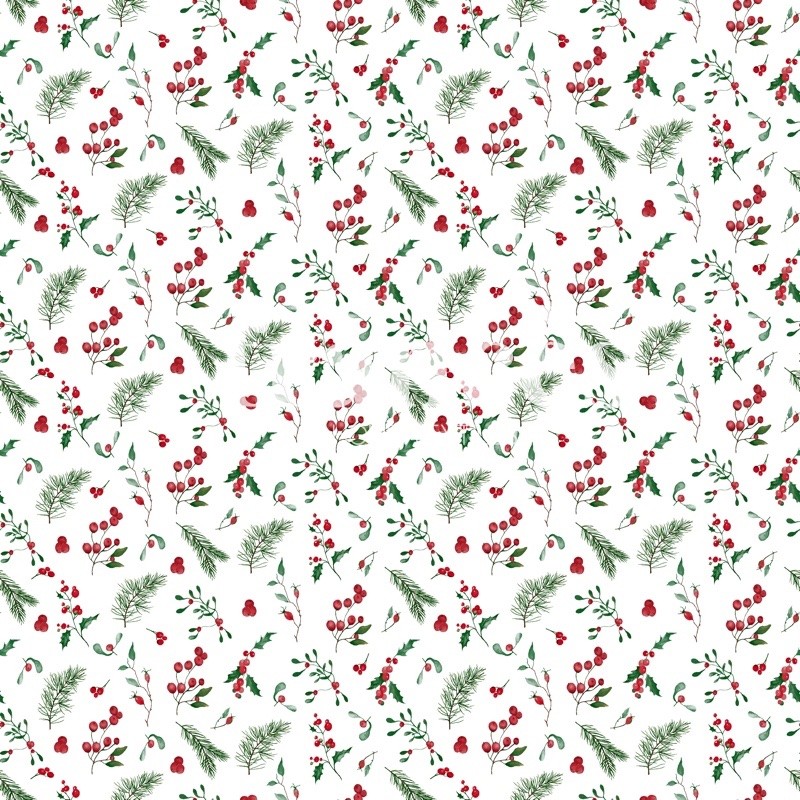 FRUTOS NAVIDAD