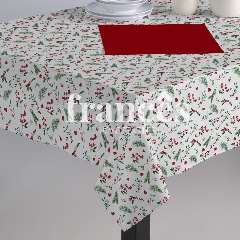 FRUTOS NAVIDAD