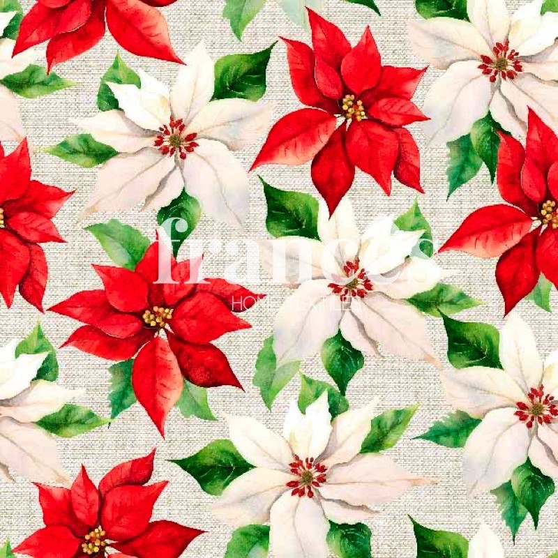 ESTRELA  NAVIDAD
